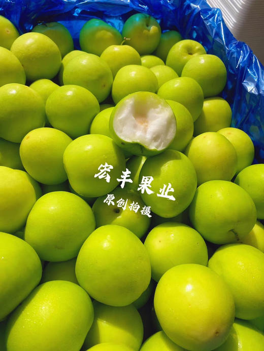 宏丰精选 牛奶枣 口感脆甜，水分充足  活动价9.9一斤 商品图3