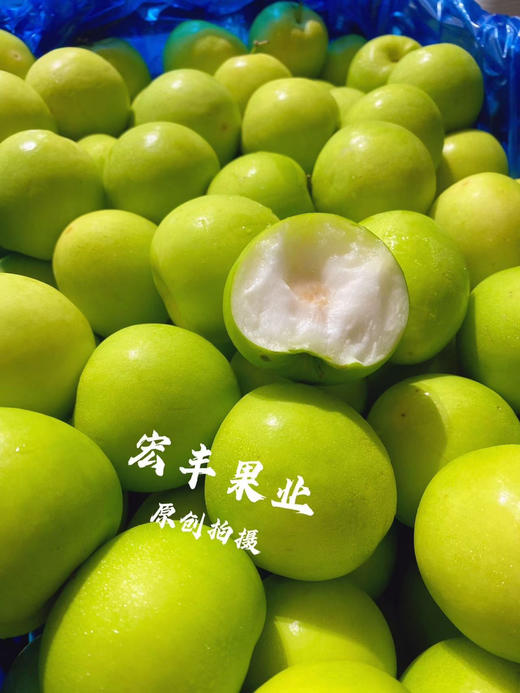 宏丰精选 牛奶枣 口感脆甜，水分充足  活动价9.9一斤 商品图1