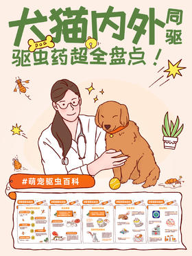 如何选择合适自家爱宠的驱虫药