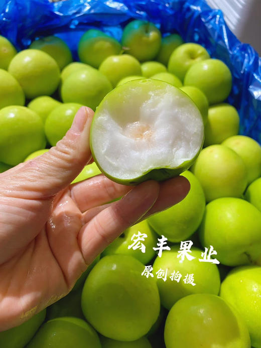 宏丰精选 牛奶枣 口感脆甜，水分充足  活动价9.9一斤 商品图2