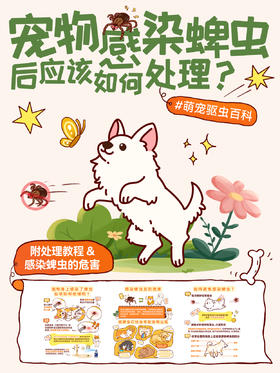 宠物身上的蜱虫怎么处理
