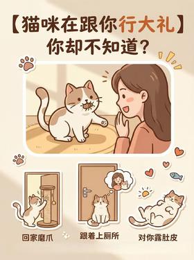 猫咪行大礼‼原来它一直超爱我😭