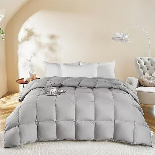 罗曼罗兰大朵鹅绒被200x230cm 商品图0