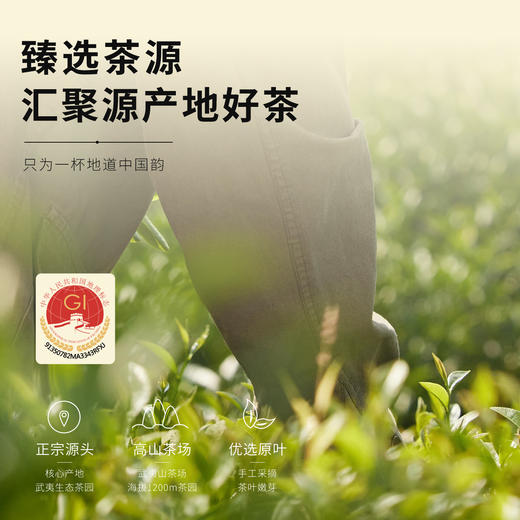 【顺丰春季茶礼】茶叶 红茶 金骏眉  茶叶礼盒  T4032 茶饮 华源 500g 商品图6