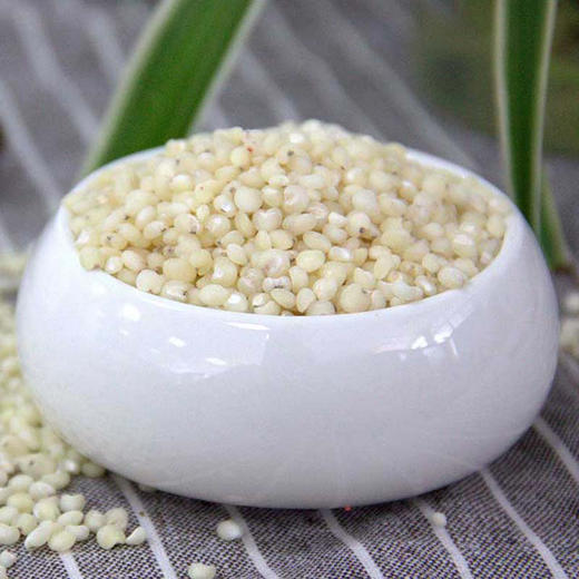 有机高粱米 420g 商品图4