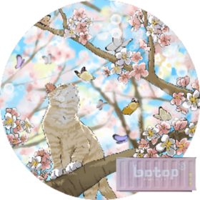 猫赏花（迷你片）集装箱外盒bj