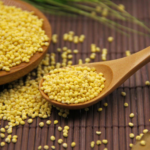 有机大黄米 420g 商品图2