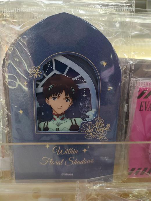 LOFTERGOODS 新世纪福音战士EVA花间影系列透卡 商品图0