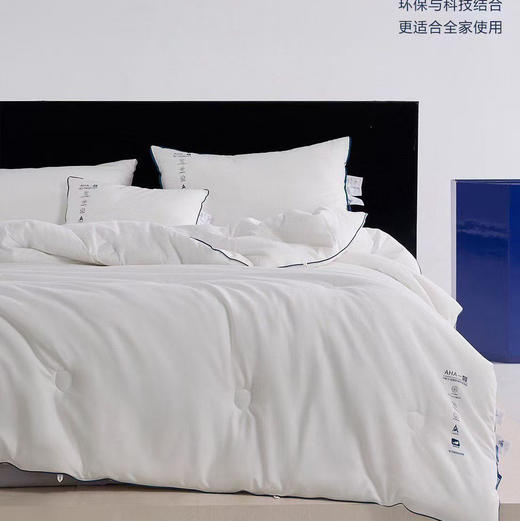 罗曼罗兰净卫士抗菌防螨被200x230cm 商品图0