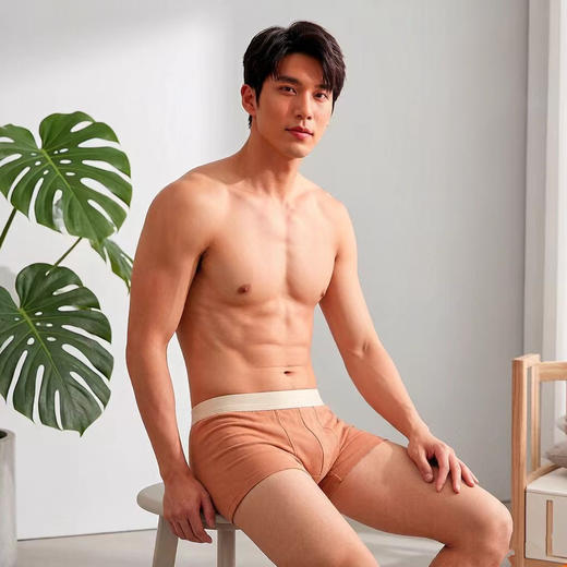 防手机辐射内裤 银纤维内裤男士内裤防电磁波内裤电焊工银纤维服饰 商品图0