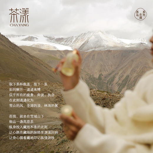 茶漾藏地318香水 东方木质调 男女可用中性香(EDP) 商品图2