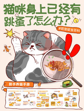猫咪身上已经有跳蚤了怎么办？