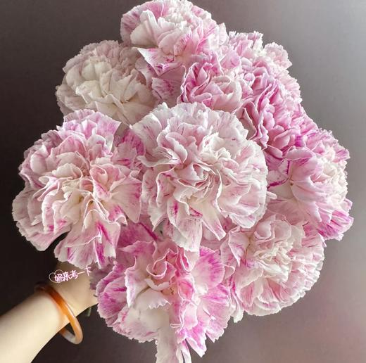 单康 | 晚枫 商品图0