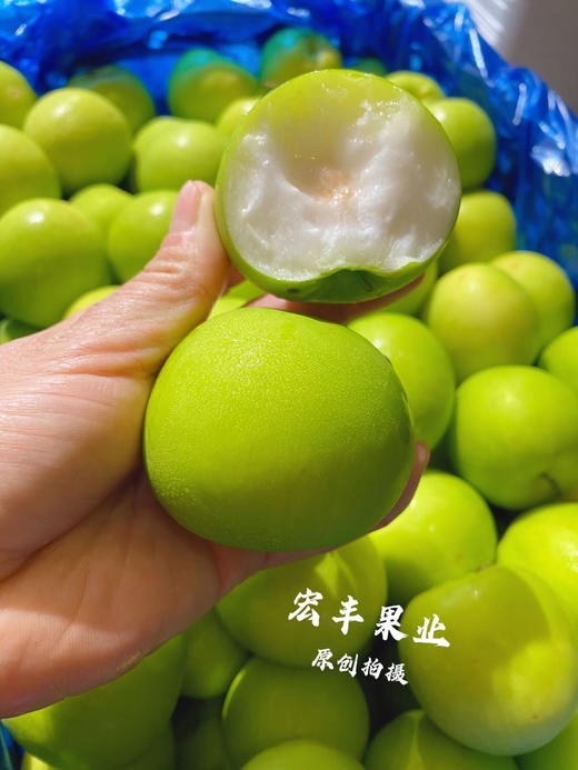 宏丰精选 牛奶枣 口感脆甜，水分充足  活动价9.9一斤 商品图0