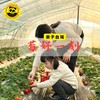 【亲子自驾】萌娃探莓园 小手种甜趣，幼龄宝贝新奇体验~摘莓 + 种莓双倍甜趣！ 商品缩略图0