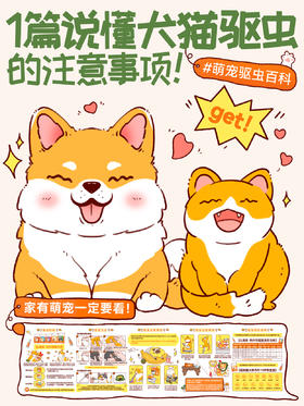 一篇说懂犬猫驱虫的注意事项