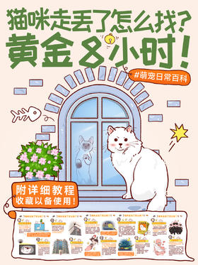 新手指南20-猫咪走丢了怎么找？