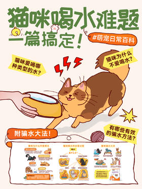 新手指南17-猫咪喝水难题