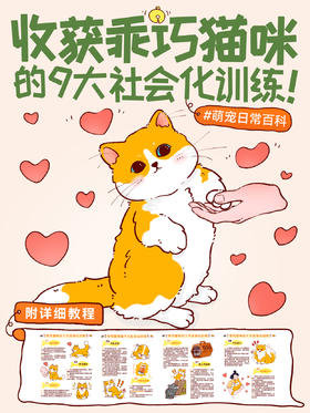 新手指南2-收获乖巧小猫的社会化训练，这9个你知道吗