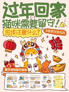 新手指南6-过年回家猫咪独自在家几天，需要注意什么？