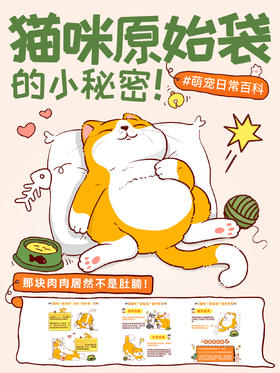 趣味小知识9-猫咪原始袋的小秘密！