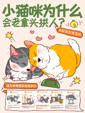 行为学3-小猫咪拿头拱人原来还有这些原因！