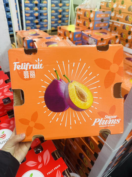 智利甜西梅 商品图5