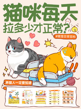 小知识7-猫咪每天拉多少才正常？
