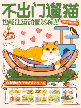 新手指南16-不出门遛猫,也能让运动量达标！
