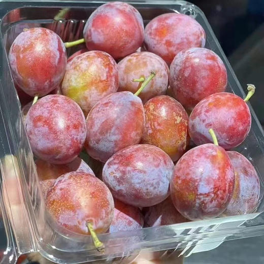 智利甜西梅 商品图1