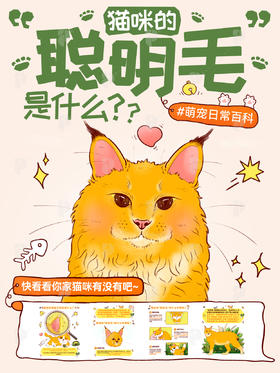 趣味小知识16-你家猫咪有聪明毛吗？聪明毛是什么