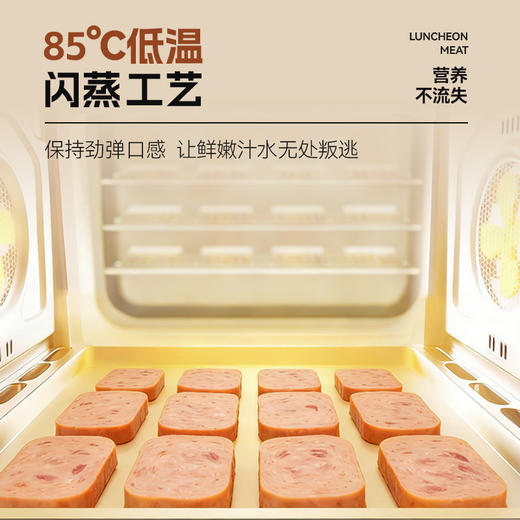 【满减专区】午餐肉25g原味 肉含量高达90% 高蛋白劲弹口感 商品图4