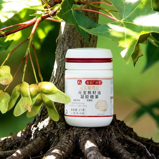 每拍2件减50元【元宝枫籽油】十年结籽加工  富含多维营养 胶囊装 易入口AA 商品图1