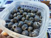 【活动特惠】花香蓝莓桶 大份量一桶约450克 香味浓郁 硬度好，口感超甜！大口过瘾吃蓝莓~ 商品缩略图0