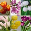 德邦空运包邮  | 郁金香随机色（图片仅供参考，至少3种颜色，粉白占比30%） 商品缩略图0