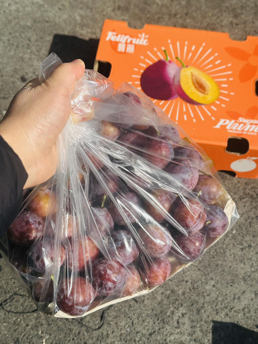 智利甜西梅 商品图7