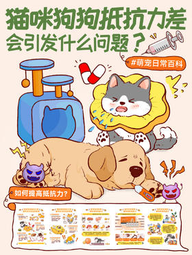 小知识10-猫咪狗狗抵抗力差会引发什么问题