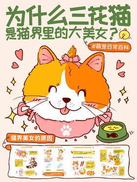 趣味小知识1-为什么三花猫是猫界里的大美女
