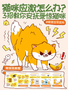 新手指南19-猫咪应激怎么办？