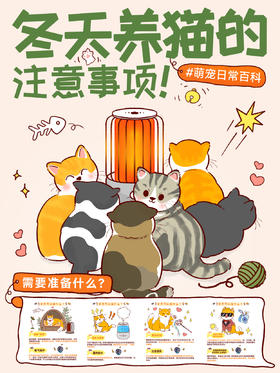 小知识4-冬天养猫的注意事项