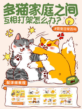 行为学2-多猫家庭猫咪互相打架怎么办？
