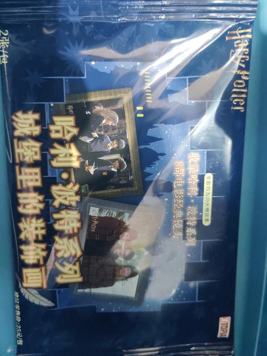 哈利波特城堡里的装饰画 商品图0