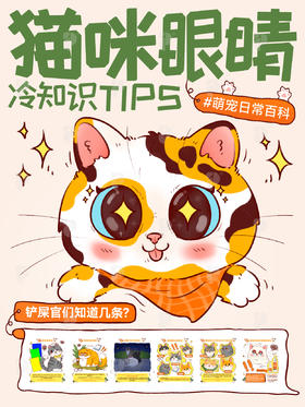 趣味小知识19-关于猫咪眼睛的6个冷知识，你知道几个