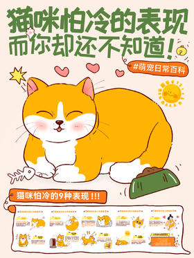 行为学4-猫咪怕冷的表现，而你却还不知道！
