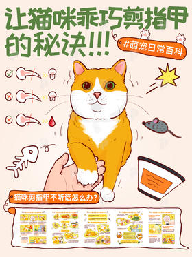 新手指南15-猫咪不配合剪指甲怎么办