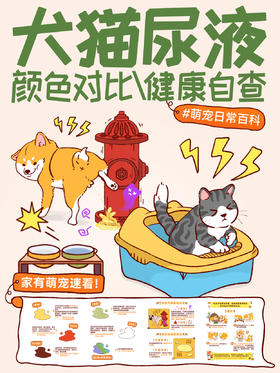 常见疾病6-尿液颜色居然反映了它的健康！？家有萌宠速看