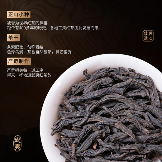 【顺丰春季茶礼】茶叶 红茶 正山小种  茶叶礼盒  茶饮 华源 500g 商品图2