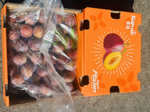 智利甜西梅 商品图8