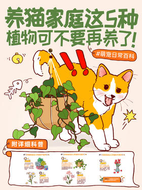 小知识3-养猫家庭这5种植物可不要再养了！