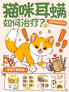 常见疾病3-猫咪耳螨治疗 快速了解耳螨！